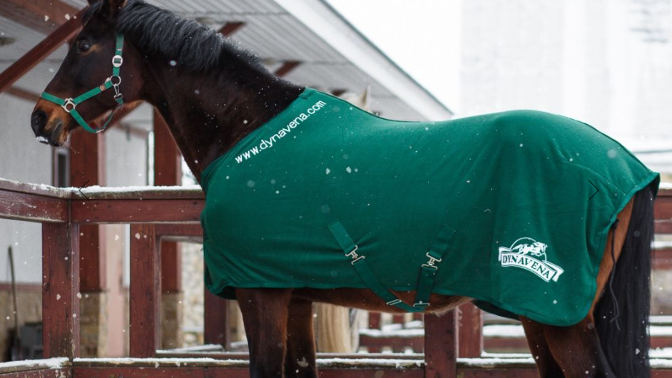Попона с логотипом Dynavena флисовая