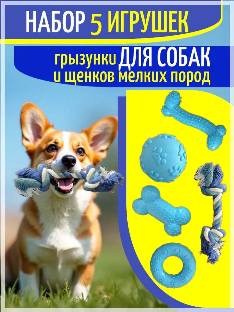 Набор для собак синий