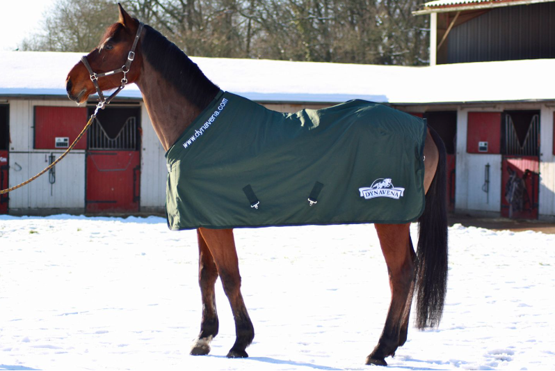 Попона из плащевки с логотипом Dynavena