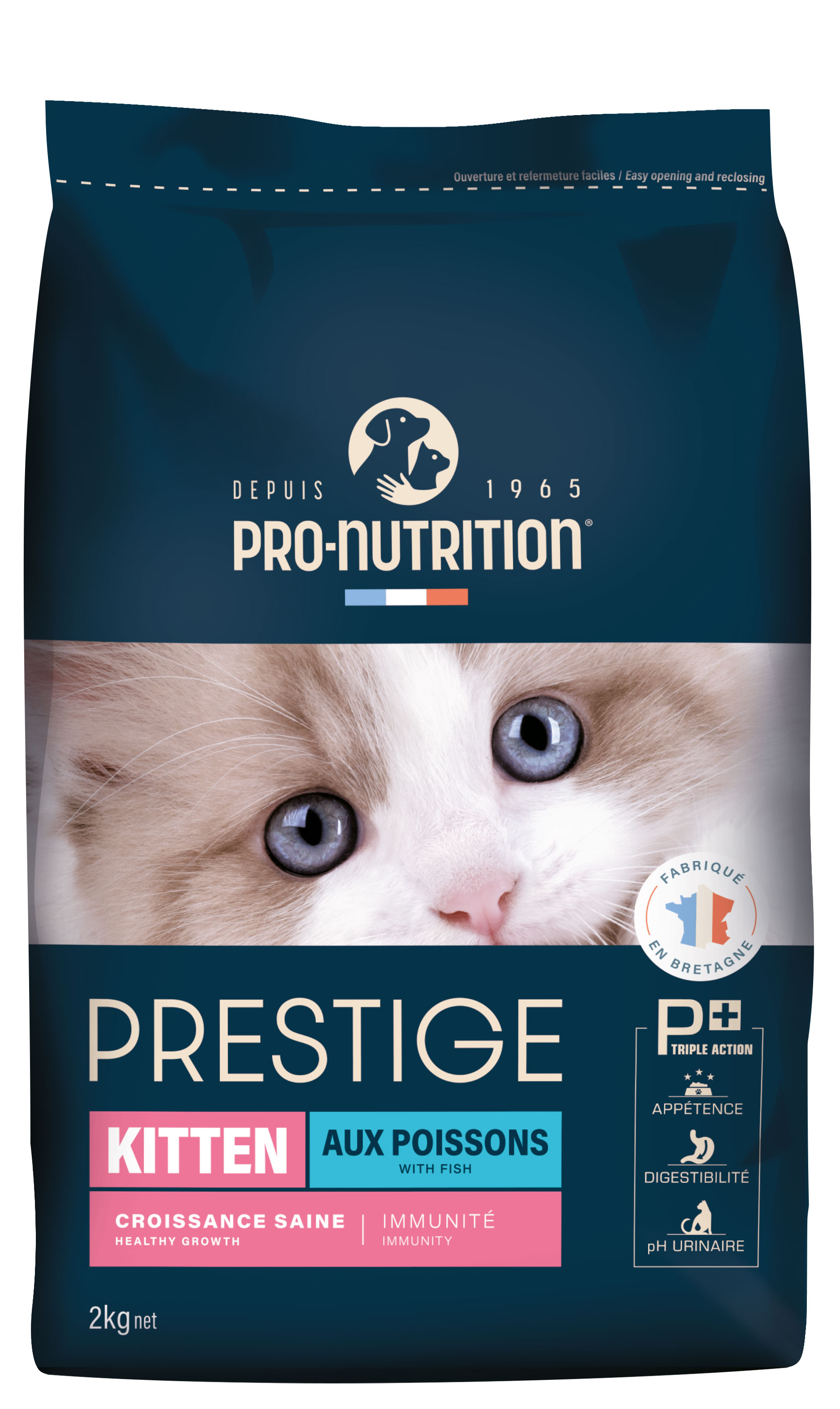 Prestige Kitten