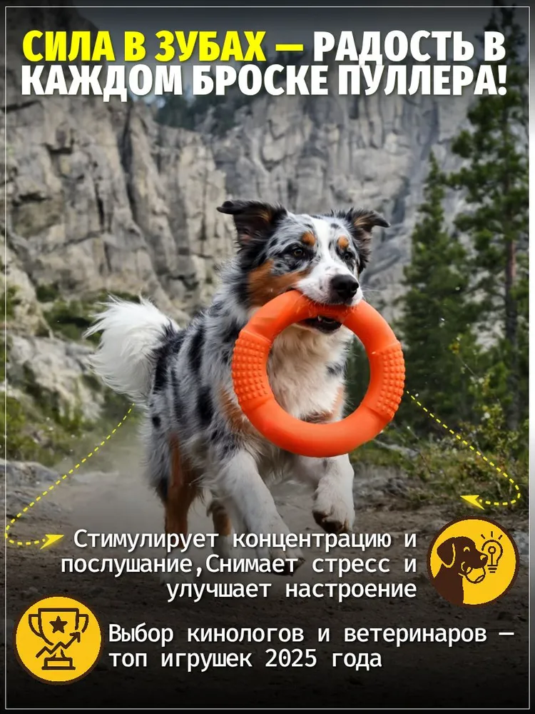 Пулер 28 см оранжевый