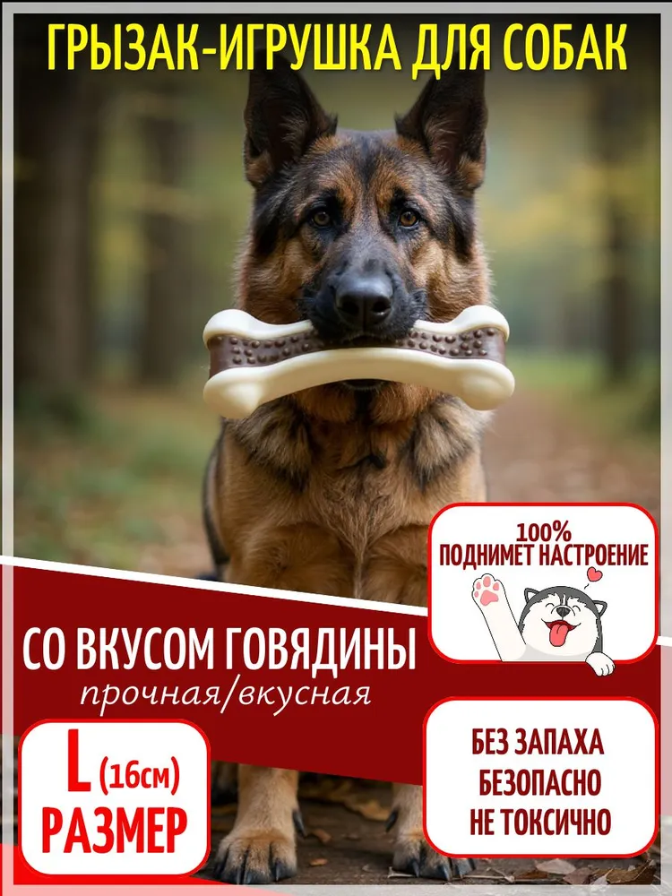 Кость с запахом говядины L