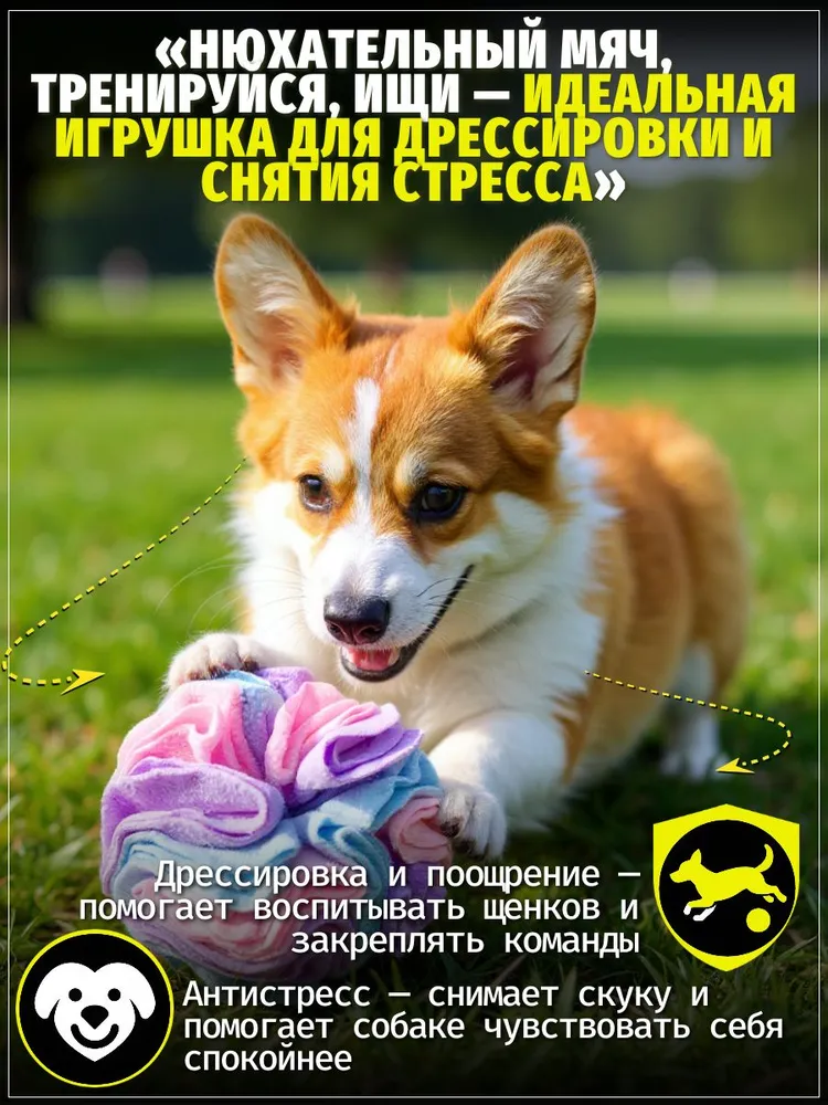 Нюхательный мяч разноцветный