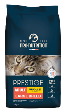 Prestige Adult Large Breed