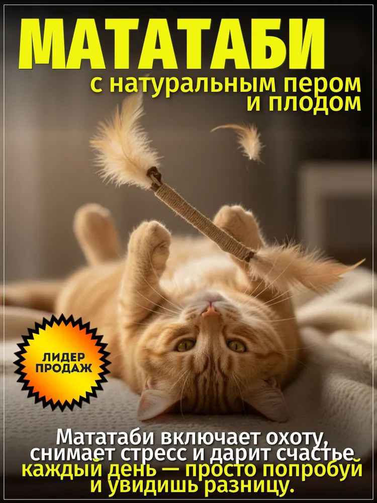 Мататаби с пером и плодами