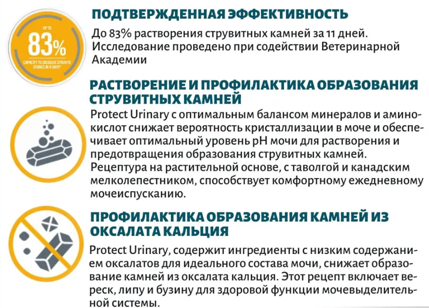 Screenshot - 2025-02-28T125005.542.png