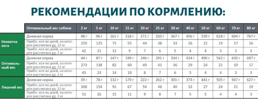 Screenshot - 2025-02-27T124920.097.png