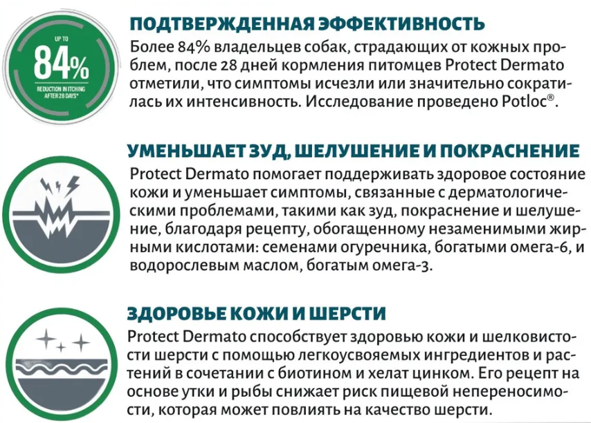 Screenshot - 2025-02-27T124454.681.png